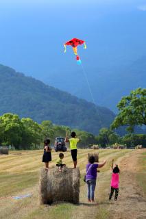 Chinshang Pastoral Farm Resort - Chishang - 9