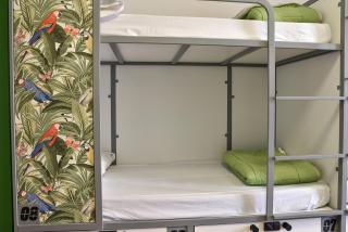 Cats Hostel Madrid Sol - 9