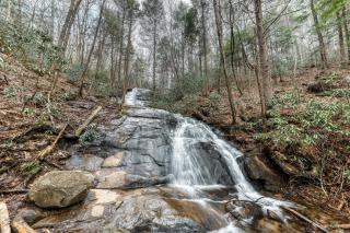 Toccoa River Retreat - Blue Ridge - 7