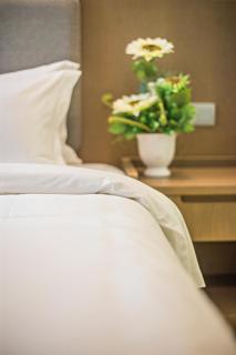GRAND FLORA HOTEL - Melaka - 3