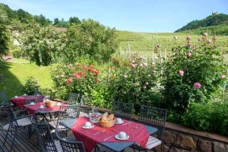 BNB Garni Kreithof - Caldaro - 8