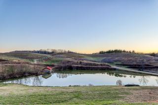 Wildwood River Retreat - Mineral Bluff - 4