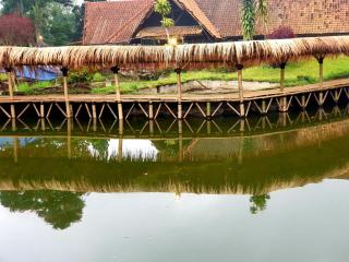 Ciwidey Jungle Camp & Villa - 4