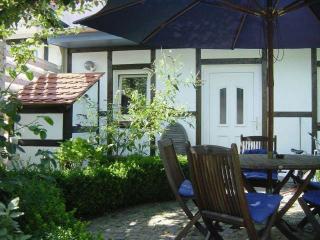 Haus Alexandrine - Warnemünde - 8