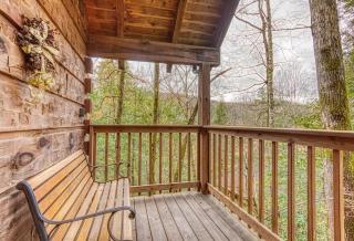 Mountain Eden, Hot Tub, Resort Pool, WIFI, 685 FREE tickets each paid day!!! - 4
