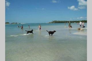 San Carlos Paradise! - Fort Myers - 5