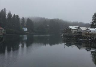 Sea Parrot Inn - 8