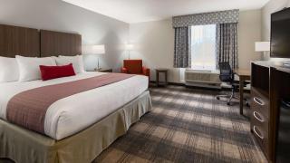 Best Western Plus Philadelphia-Choctaw Hotel and Suites - Filadelfia - 8
