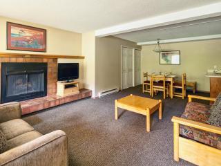 Panorama Mountain Resort - Toby Creek / Horsethief Condos - Panorama - 7