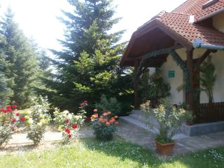 Fehér Rózsa Apartman - Cserszegtomaj - 9