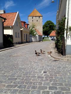 Mullbärsgårdens Bed and Breakfast - 3