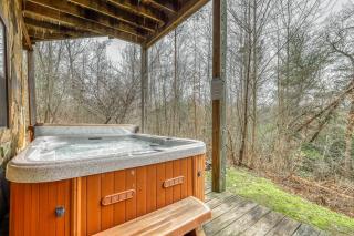 A Bear Pause - Blue Ridge - 7