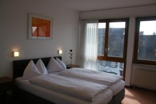 Hotel Eremitage - Arlesheim - 3