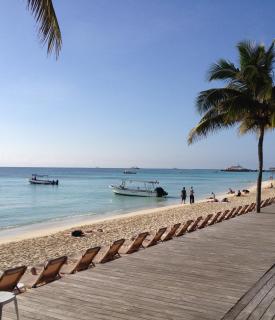El Faro 404 Surf - Playa del Carmen - 7