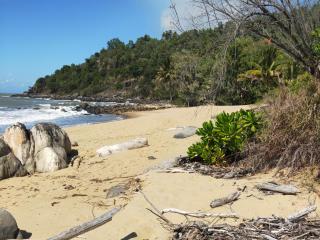 Turtle Cove Beach Resort - Adults Only LGBTQIA & Allies - 2