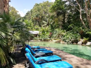 Turtle Cove Beach Resort - Adults Only LGBTQIA & Allies - Oak Beach - 4