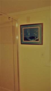 Cheap East Knoxville Basement Studio - Knoxville - 3