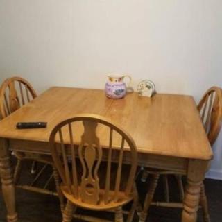 Cheap East Knoxville Basement Studio - Knoxville - 9