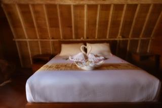 Paradesa Living - Gili Trawangan - 5