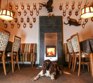 Studtmann's Gasthof - Egestorf - 7