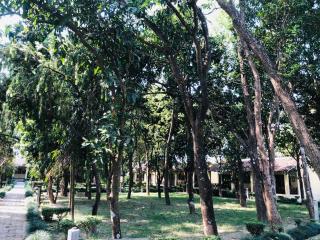 Rhino Lodge Bardia Pvt Ltd - Bhurkīā - 9