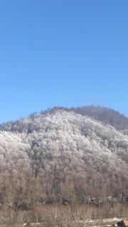 Pine Mountain Inn - Pineville - 1