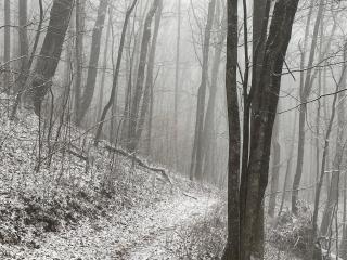 Pine Mountain Inn - Pineville - 2