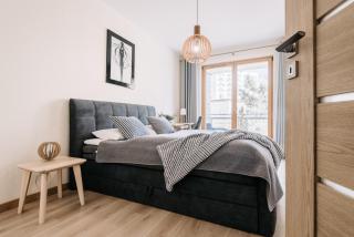 Apartamenty Maestro - 3