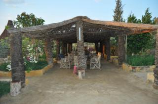 Badry Sahara Camp - Bawiti - 7