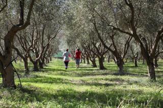 Agriturismo A'Sena-Runcatini - 2
