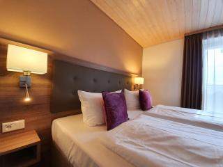 Hotel in den Herrnwiesen - Wertheim - 0