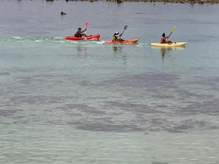 Panama Beachfront Apartments, Rarotonga - Rarotonga - 2