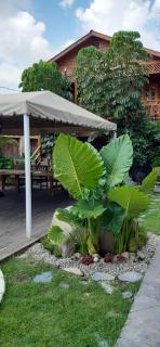 Cabañas La Finca - Atlixco - 9
