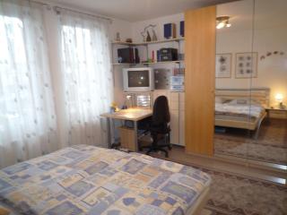 Homely Apartments near Exhibition area - 9