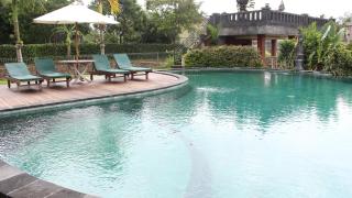 Darra Ria Villa Ubud - Ubud - 9