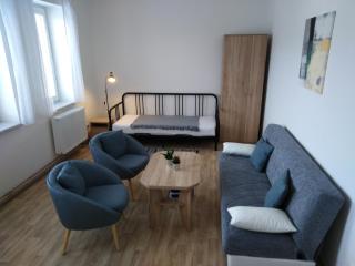Apartmán U Dubu - Jablonné nad Orlicí - 3