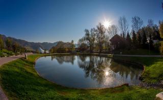 Terme Olimia - Aparthotel Rosa - 7