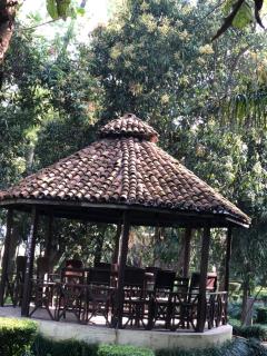 Rhino Lodge Bardia Pvt Ltd - 2