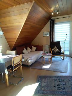 Haus Alexandra - Bad Driburg - 8