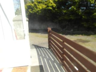 Country Studio - Portarlington - 9