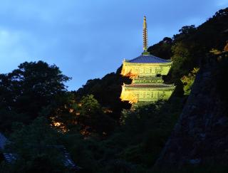Ryokan Koyokan - Yasugi - 4