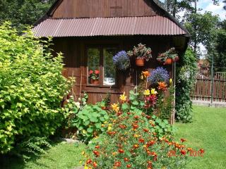 Modrzew - Zakopane - 7