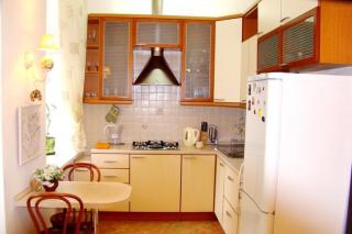 Alex Apartments on Puskinskaya-Chikalenko new name - Kiev - 5