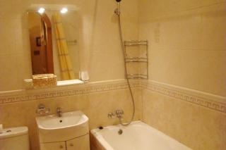 Alex Apartments on Puskinskaya-Chikalenko new name - Kiev - 2