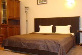 Alex Apartments on Puskinskaya-Chikalenko new name - Kiev - 9
