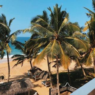 Jasmine Garden Beach Guest House - Hikkaduwa - 4