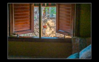 Fuego Mio Bed & Breakfast - Santa Cruz - 6