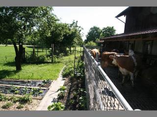 Kirmeier Hof - 7