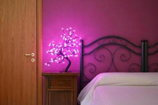 B&B Archè - 7