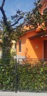 New Life - Carrara - 5